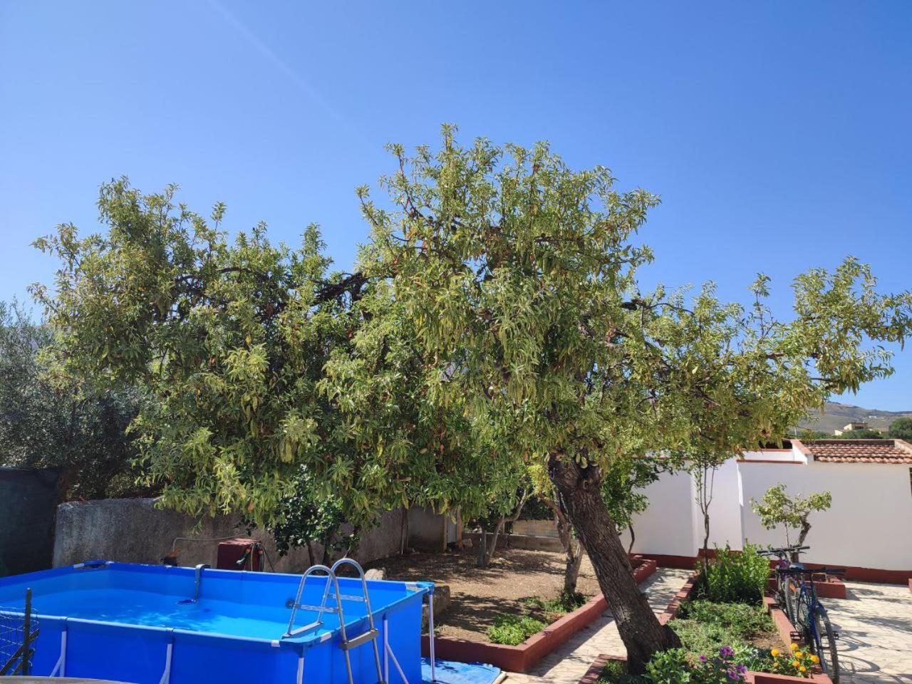 קאסטלמארה דל גולפו Villa Rosa מראה חיצוני תמונה