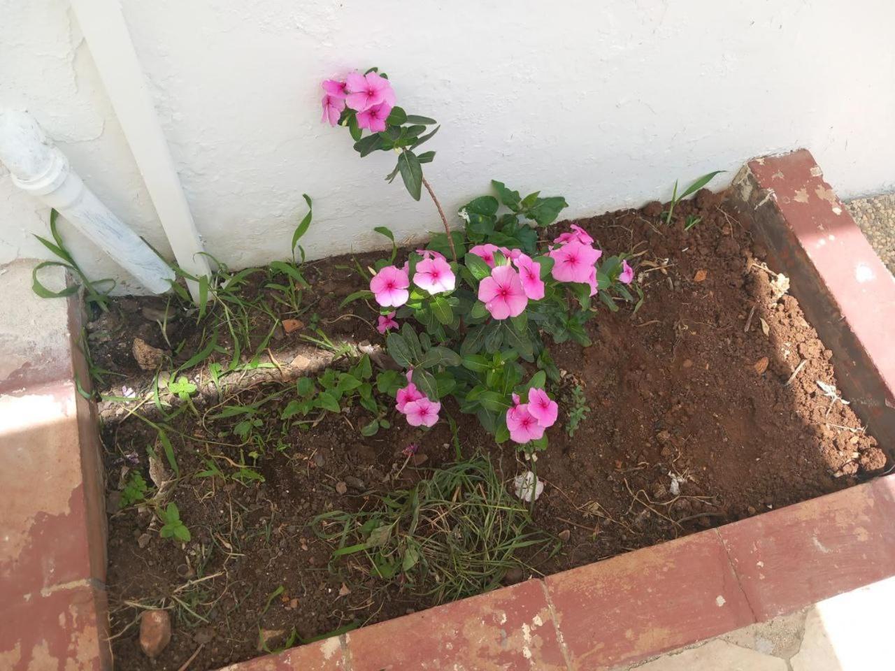 קאסטלמארה דל גולפו Villa Rosa מראה חיצוני תמונה